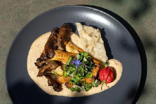 Grilled oyster mushroom with chimichurri and bread